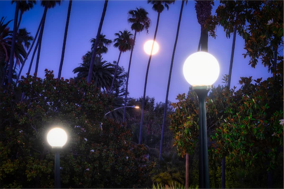 베벌리힐스 (Beverly Hills)
