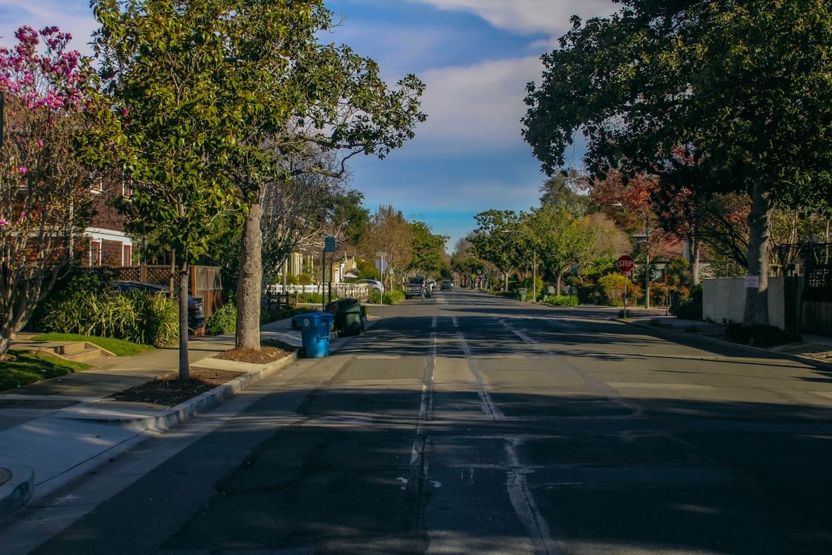 팔로알토 (Palo Alto)